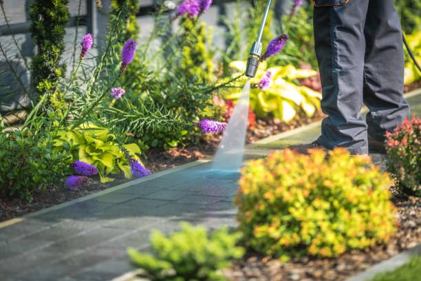  Huntsville, MO Pressure Washing Pros
